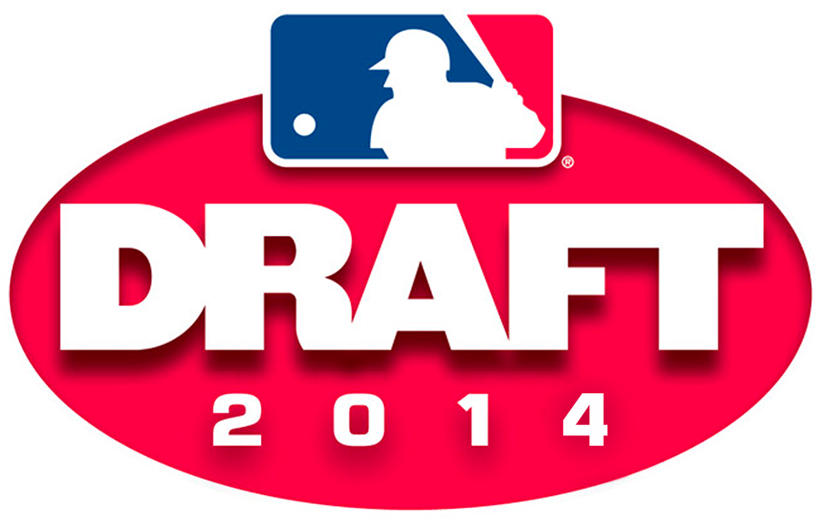 MLB Draft 2014 Primary Logo DIY iron on transfer (heat transfer)